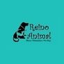 Reino Animal Clínica Veterinária e Pet Shop - Clínica Veterinária - Consultas/ cirurgias/ exames laboratoriais / exames de imagem/ internação/ Pet Shop/ Estética Pet