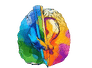 Psicologa Ana Manzzon - Psicologia e Praticas Integrativas - Psicoterapia Presencial e On Line, Oficinas Criativas, Terapias e Cursos.