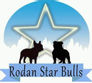 Canil Rodan Star Bulls - Canil de Bulldog Francês e Inglês - Trabalhamos para levar alegria a lares que buscam ter a companhia de um filhote de bulldog francês! 