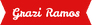 Grazi Ramos - beleza & estética - 