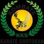 Kombate - Karate Shotokan - Disciplina e Diversao no mesmo lugar