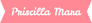 Priscilla Mara - beleza & estética, gastronomia, saúde & bem-estar, marketing & vendas - 