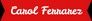 Carol Ferrarez - beleza & estética - 