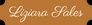 Liziara Sales - beleza & estética - 