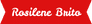 Rosilene Brito - turismo - 
