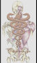 Nelma Cristina - Fisioterapeuta  - Fisioterapia especializada Cardiorrespiratória, DERMATO-FUNCIONAL. Instrutora de Pilates e especialista intradermoterapia pressurizada 