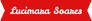 Lucimara Soares - marketing & vendas - 