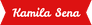 Kamila bolos decorados - gastronomia - boloa, doces, cupcake...