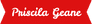 Priscila G designer - designer de sobrancelhas - marque seu horario 