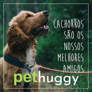 Fabricio Sorgatto Kuyven - 🐕🦺PetShop / Spa Animal / Banho / Rações - Socio Proprietário - Pethuggy