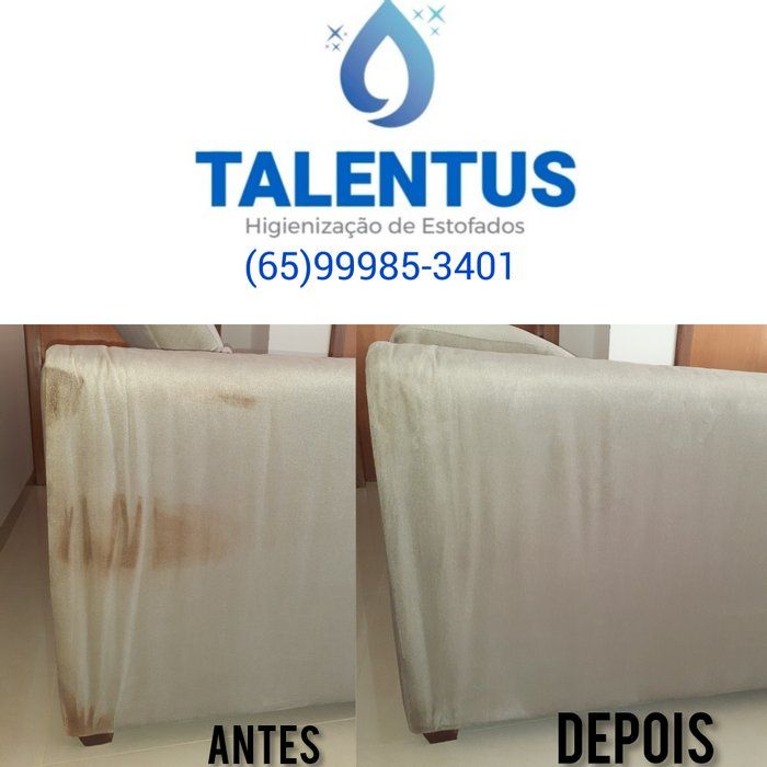 TALENTUS LIMPEZA E HIGIENIZAÇÃO DE ESTOFADOS - serviços para casa, serviços automotivos - Limpeza e Higienizacao de Sofa