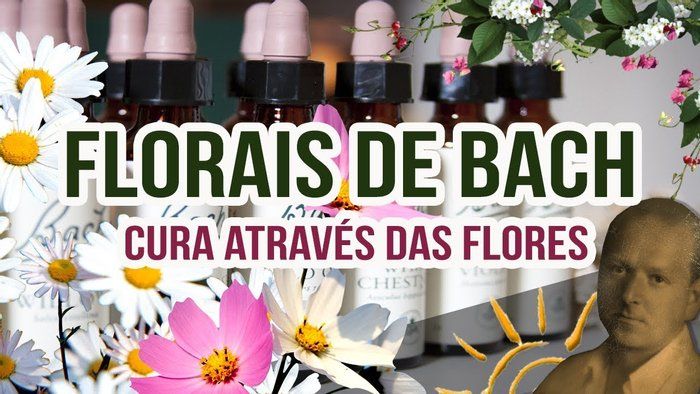 Ana Fuentes Terapeuta - Saúde e bem estar - Florais de Bach