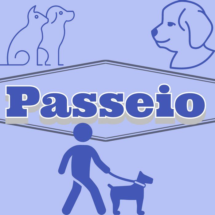 AnjoHeroi - Serviços pets - Passeio