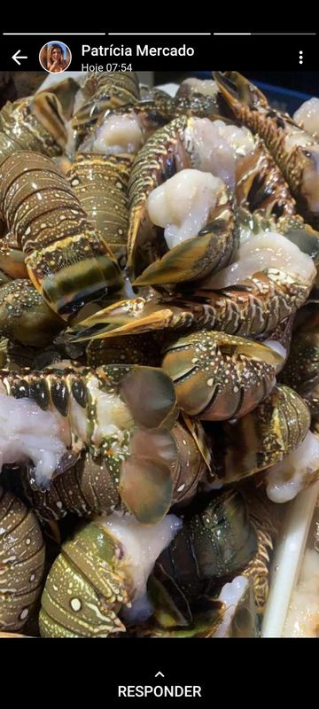 Frutos do Mar - Peixaria Delivery - Cauda da Lagosta