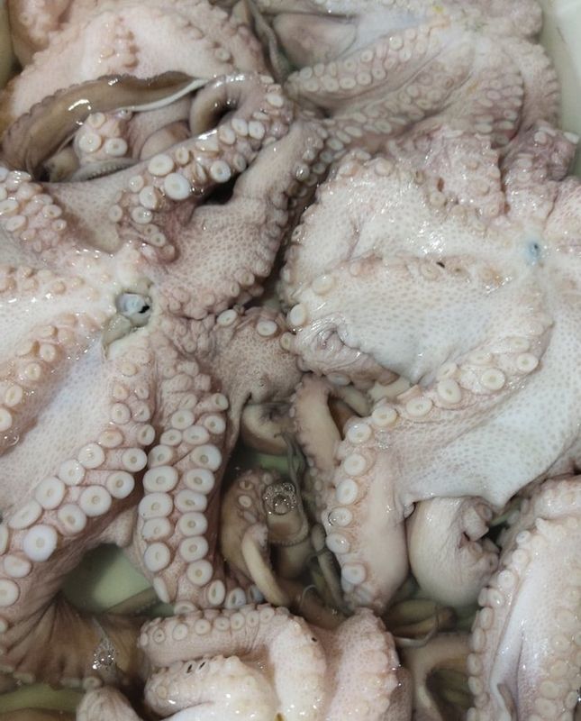 Frutos do Mar - Peixaria Delivery - Polvo