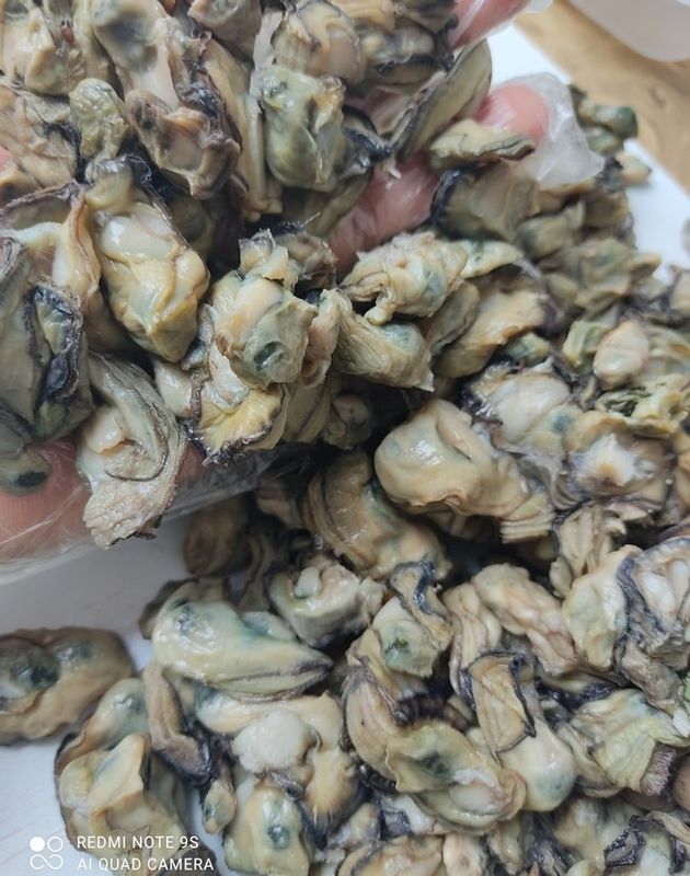 Frutos do Mar - Peixaria Delivery - Catado de Ostra