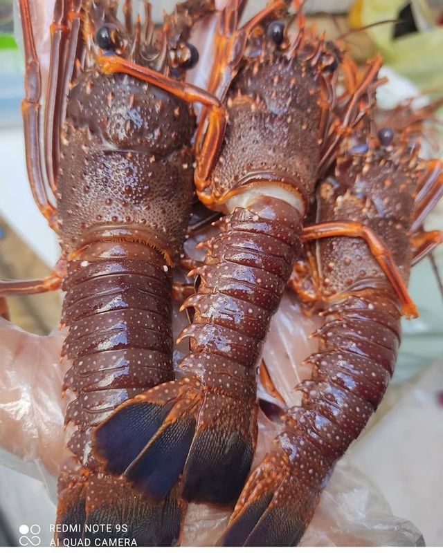 Frutos do Mar - Peixaria Delivery - Lagostinha