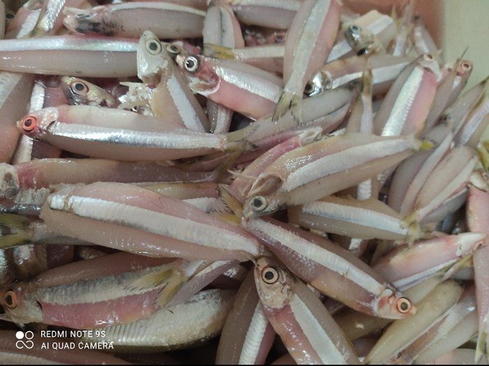 Frutos do Mar - Peixaria Delivery - Pilombeta