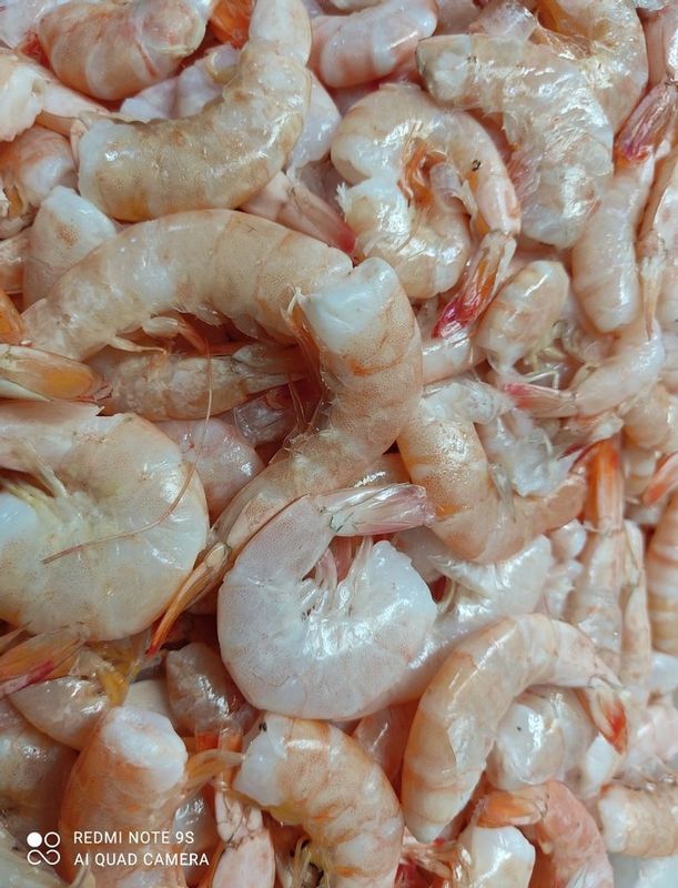 Frutos do Mar - Peixaria Delivery - Camarão sem Cabeça