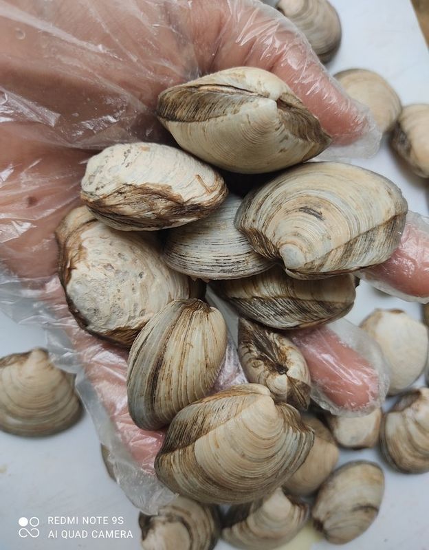 Frutos do Mar - Peixaria Delivery - Lambreta