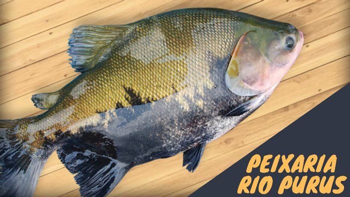 Peixaria Rio Purus - A QUI TEM PEIXE DE QUALIDADE - TAMBAQUI