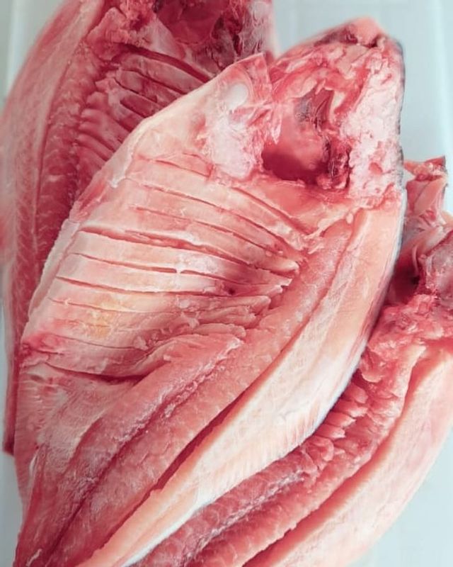 Peixaria Rio Purus - A QUI TEM PEIXE DE QUALIDADE - TAMBAQUI SEM ESPINHA