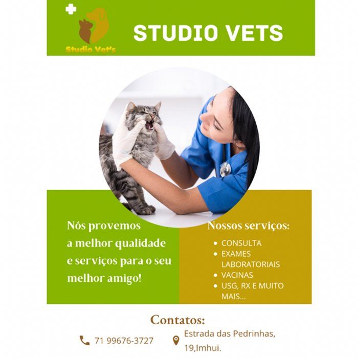 Studio Vets - Consultório Veterinário  - Consulta Veterinária 