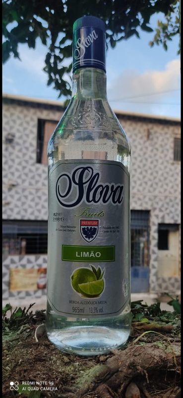 ☆ ▪︎Cerva Gold▪︎ ☆ - ☆ ▪︎DEPÓSITO DE BEBIDAS 24 HORAS▪︎ ☆ - Vodka Slova Limão