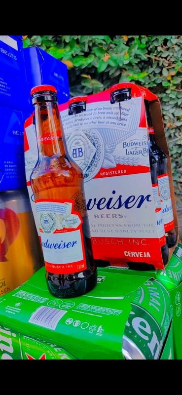 ☆ ▪︎Cerva Gold▪︎ ☆ - ☆ ▪︎DEPÓSITO DE BEBIDAS 24 HORAS▪︎ ☆ - Budweiser Long Neck