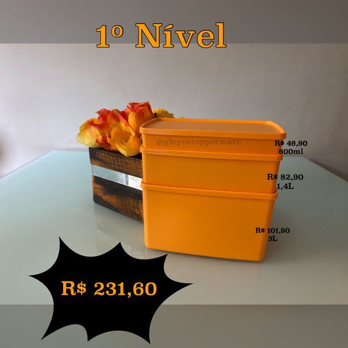 Kamila Krempel - Consultora Tupperware - Pack Freezer