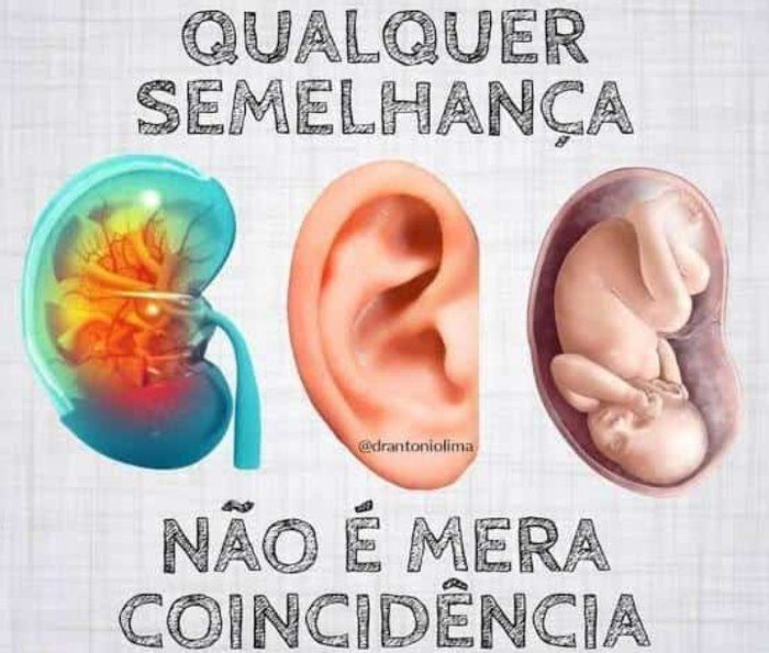 FRAN CAVALCANTE - estimulando potênciais - Auriculoterapia