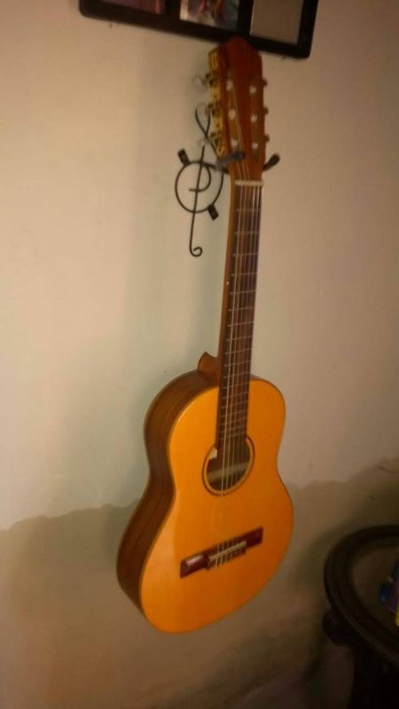 Dns conceitos - marketing & vendas - suporte de parede para violao ou guitarra