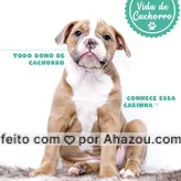 frases e posts para Olde english bulldogge: Para terminar nossa série Vida de Cachorro, um momento que todo dono de cachorro conhece: a carinha pedinte de dó ? Como resistir? Conta pra gente: como você reage a essa fofura?
#donodecachorro #donodepet #maedepet #ahazoupet #pets #pet #cachorro #vidadecachorro