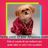 Se você falar nome e sobrenome já sei que é rico? 
#AhazouPet  #ilovepets #petsofinstagram #dogs #engracado #cachorro #lovedog