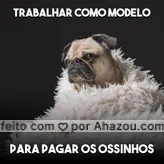 Hora de ajudar o humano com os boletos!  #pet  #boleto  #ahazou  #ahazoupet  #cachorro  #petlover  #petcare   #dog 