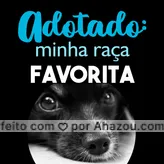 Tem raça mais linda que essa? ❤️ #adoçao #ahazoupet #Pet #cachorro #raça