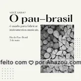 Desde 1775, descobriu-se que o pau-brasil era ótimo para fazer arcos de violino e até hoje são exportadas madeiras de pau-brasil para a Alemanha, França e EUA para fazer instrumentos musicais, que podem chegar a custar até US$ 10 mil!🎻🌳  #diadopaubrasil #paubrasil #brasil #espéciebrasileira #árvore #AhazouEdu #educação 