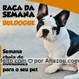 frases e posts para French bulldog: Raça da semana! 
Você dono de pets da raça Buldogue, fique ligado em nossa programação. Vão ter descontos especiais, promoções e muito mais!
Todas as novidades iremos publicar nos #stories aqui do Instagram.
?♥️
#bulldog #racadasemana #lovemypet #buldogue #ahazou #promocao #petlovers