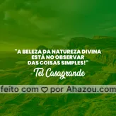 Tire tempo para observar a sua magnífica beleza e levar para a vida as lições que foram aprendidas! #ahazou  #frasesmotivacionais #motivacionais #motivacional