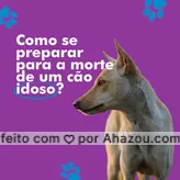 frases e posts para Cachorro: Quando o seu cachorro já está em uma idade avançada, a morte é uma realidade que você deve enfrentar, mesmo com a dor. É importante que você se prepare pra ela, se apegando aos anos e as histórias que você viveu com o seu amigo, fazendo com que ele viva sua velhice da forma mais confortável possível. Crie um ambiente de muito amor e atenção e que atenda às necessidades de duas limitações físicas, assim, vocês dois vão passar os últimos momentos juntos da maneira mais tranquila e saudável possível. #AhazouPet #luto #cats #dogs #dogsofinstagram #ilovepets #petlovers #petoftheday #petsofinstagram