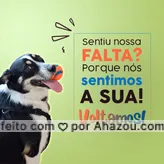 Voltamos a ativa! ? Entre em contato para mais informações! ? #pet #ahazoupet #petlover #petcare #ahazou #gato #cat #AhazouPet 