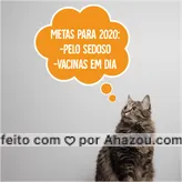 frases e posts para metas para 2020: Essas são as resoluções de ano novo do seu pet! Agende uma consulta e faça elas se tornarem realidade <3 #petlovers #ahazoupet