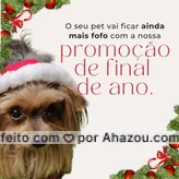 💥 PROMOÇÃO DE FINAL DE ANO 💥
As roupinhas do seu melhor amigo estão em promoção aqui na loja:
🐾 2 peças XX% de desconto.
🐾 3 peças XX% de desconto.
🐾 5 peças ou mais XX% de desconto.
Garanta o look de final de ano do seu pet. 🧡
#AhazouPet #AnimaldeEstimacao #Pets #RoupasdePet #LookPet #Promoção #Promo #PaidePet #MaedePet #LoucosporPet #ModaPet