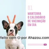 A melhor forma de manter a saúde do seu pet é prevenir. ✅ Fique ligado (a) nessas dicas de cuidados que são super importantes para que seu bichinho continue saudável e feliz. ?? Arrasta para o lado e acompanha com a gente. #dicas #cuidados #pet #AhazouPet  #petlovers