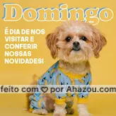  Venha conferir o que preparamos para o seu PET! #AhazouPet #petshop #novidades #pets #serviços #promoção #domingo #AhazouPet 