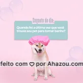 Sem mentir, hein! Quando foi a última vez que seu pet voltou cheirosinho para casa? 🤔 Aproveita e já agenda o próximo banho do seu amigo! 🐱
#AhazouPet #banhoetosa  #delivery  #instapet  #petshop  #petshoponline  #tosahigiênica 