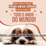Seus olhos e seus gestos. O amor mais puro com certeza vem de um animal! 🥰❤
#AhazouPet #medvet  #petvet  #vet  #veterinaria  #veterinario  #vetpet 