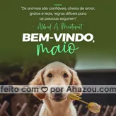 Não há como negar que essa frase é a mais pura verdade, um pet é com total certeza o melhor amigo. Bem-vindo, maio! #AhazouPet #pet #motivacional #bemvindo #maio #petlovers