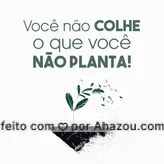 Às vezes esperamos por coisas que ainda não corremos atrás. Você está plantando  aquilo que espera colher? #reflexão #frase #ahazou #motivacional #bandbeauty