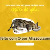 A ração do seu gato acabou? Não se preocupe pois estamos com entrega grátis acima do valor (R$___)! ? Não deixe seu pet com fome, ligue pra gente e garanta a ração do seu amado bichinho. ? #Ração #Petshop #AhazouPet #Entrega #Pet